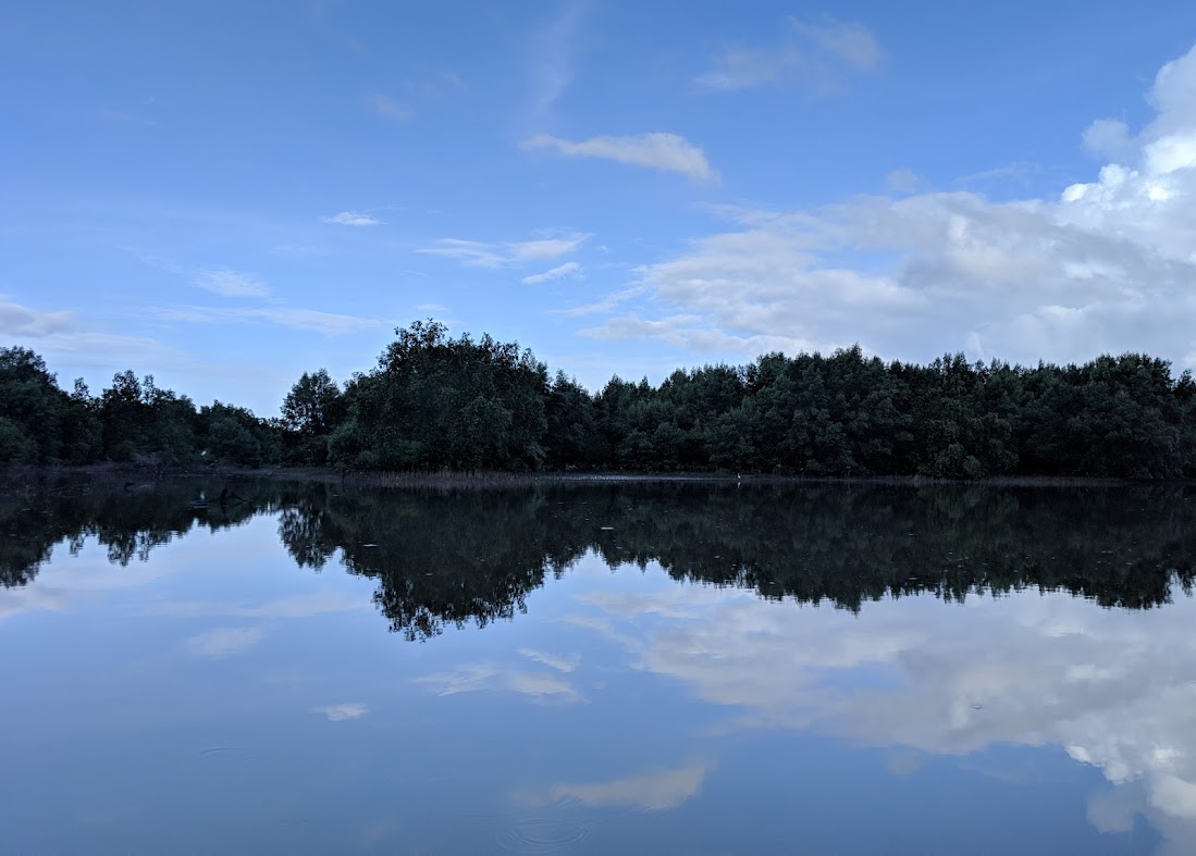 Mangroves of Pak Panang, Thailand