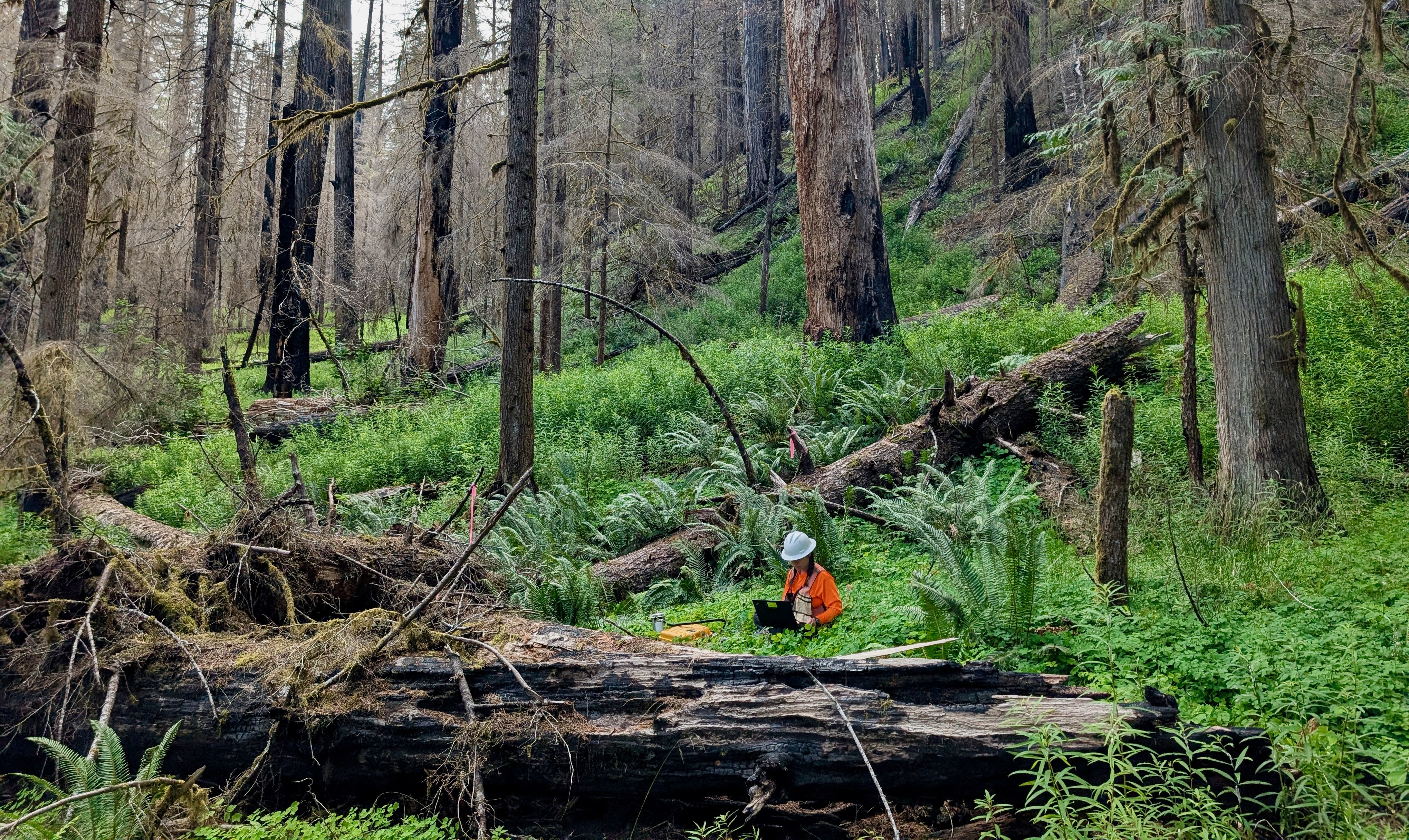 Cristina Winters collecting flux data at HJ Andrews