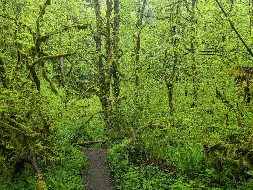 Olympic Peninsula, Washington
