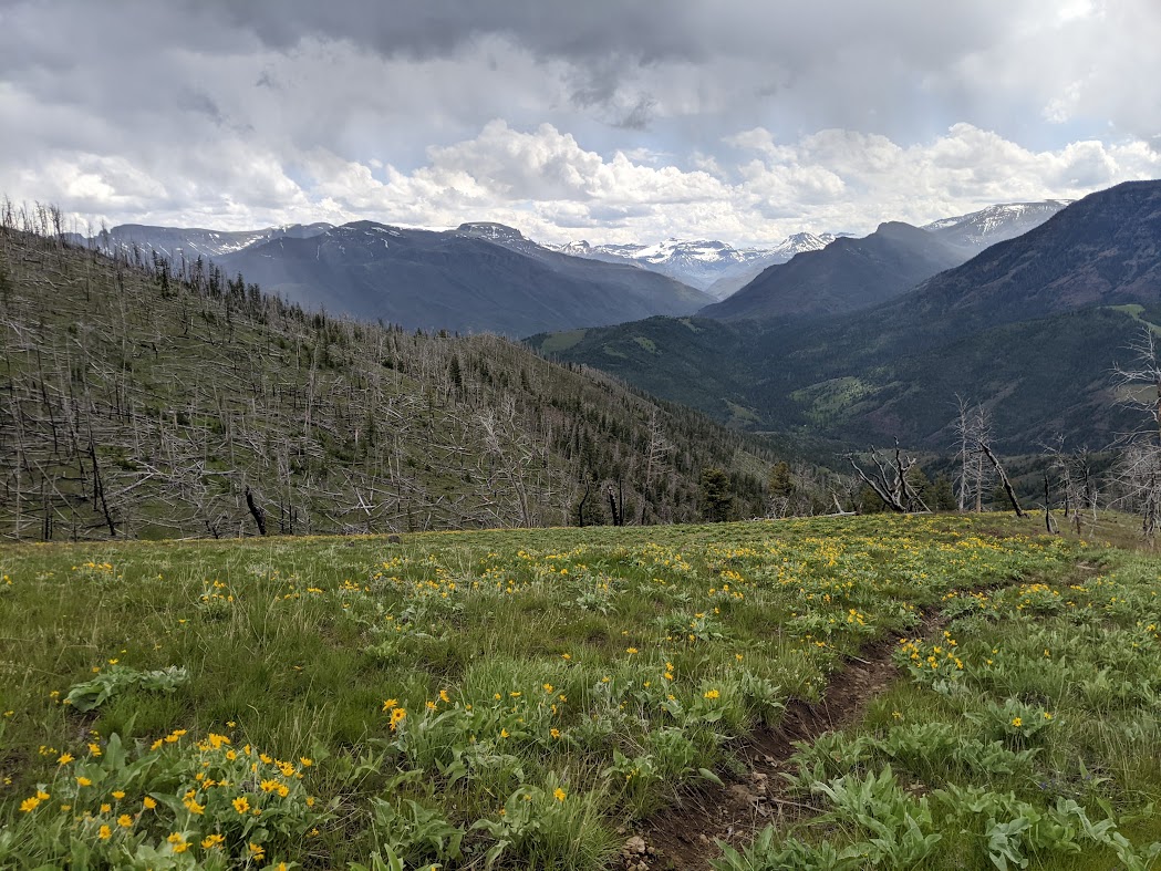 North Fork of the Shoshone, Wyoming