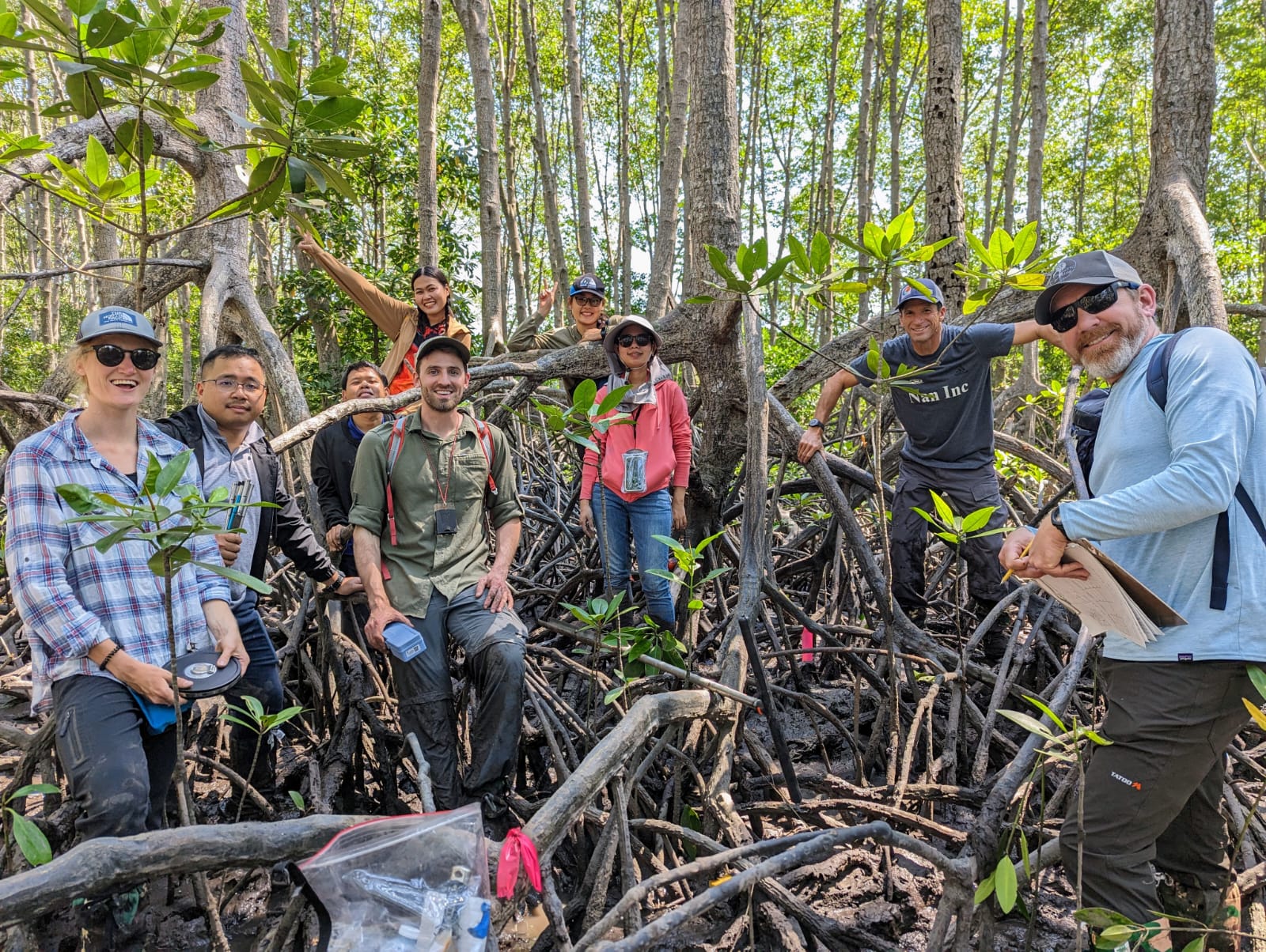Field Training, Mangroves of Thailand