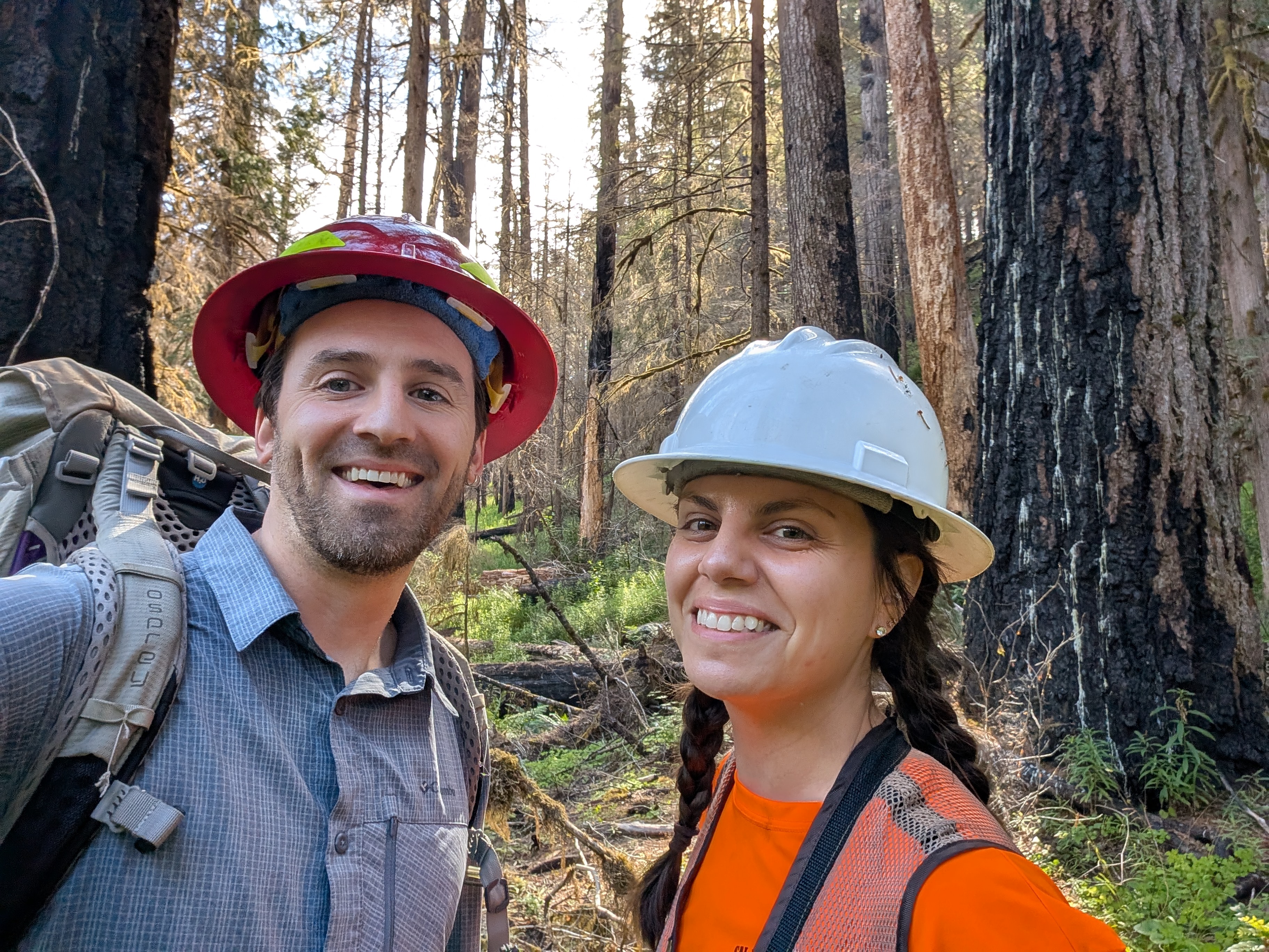Collecting soil flux data, H.J. Andrews Experimental Forest