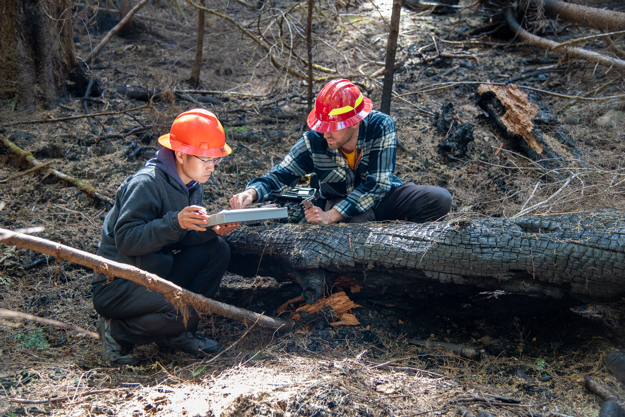 Pyrogenic carbon studies at the HJ Andrews Experimental Forest